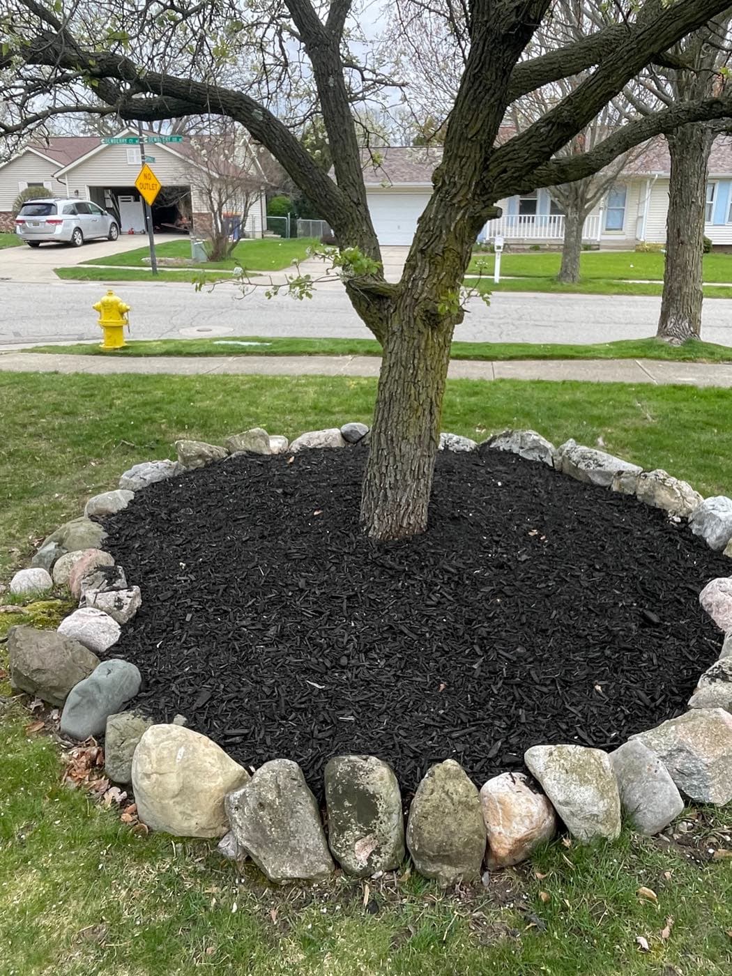 Rodas Premier Landscaping project photo 1