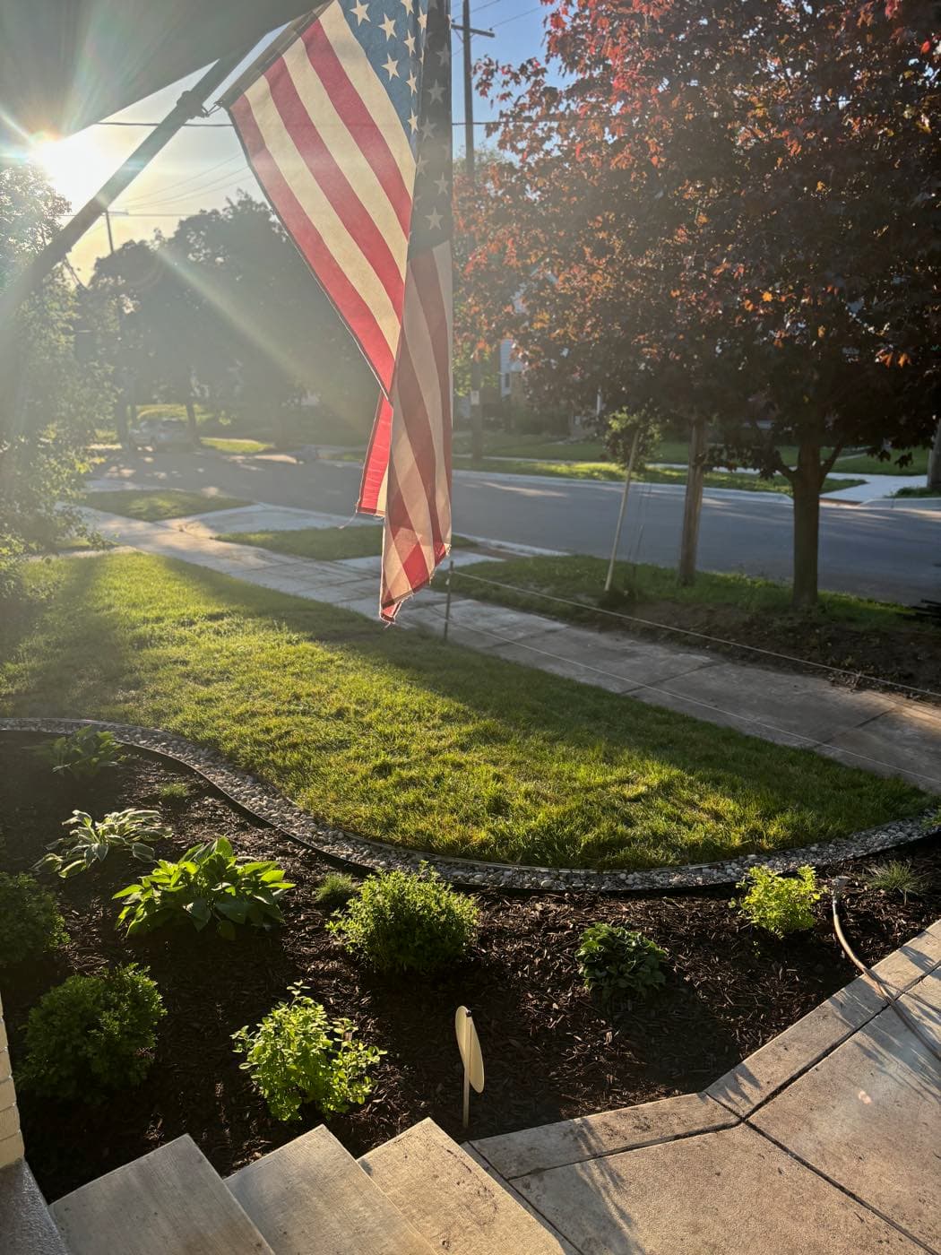 Rodas Premier Landscaping project photo 5