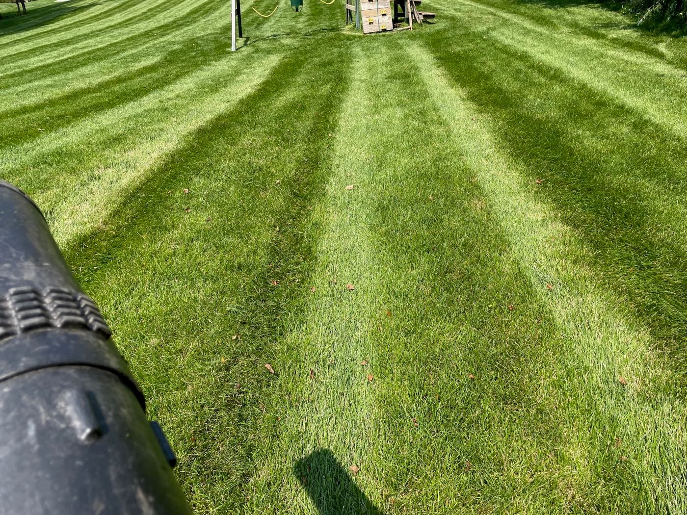Rodas Premier Landscaping project photo 7