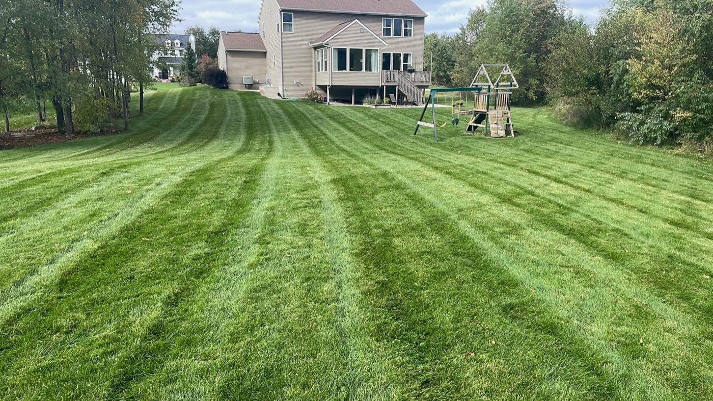 Rodas Premier Landscaping project photo 8