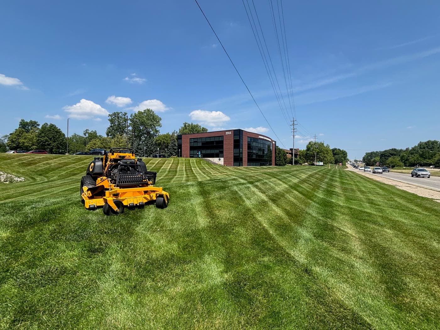 Rodas Premier Landscaping project photo 9
