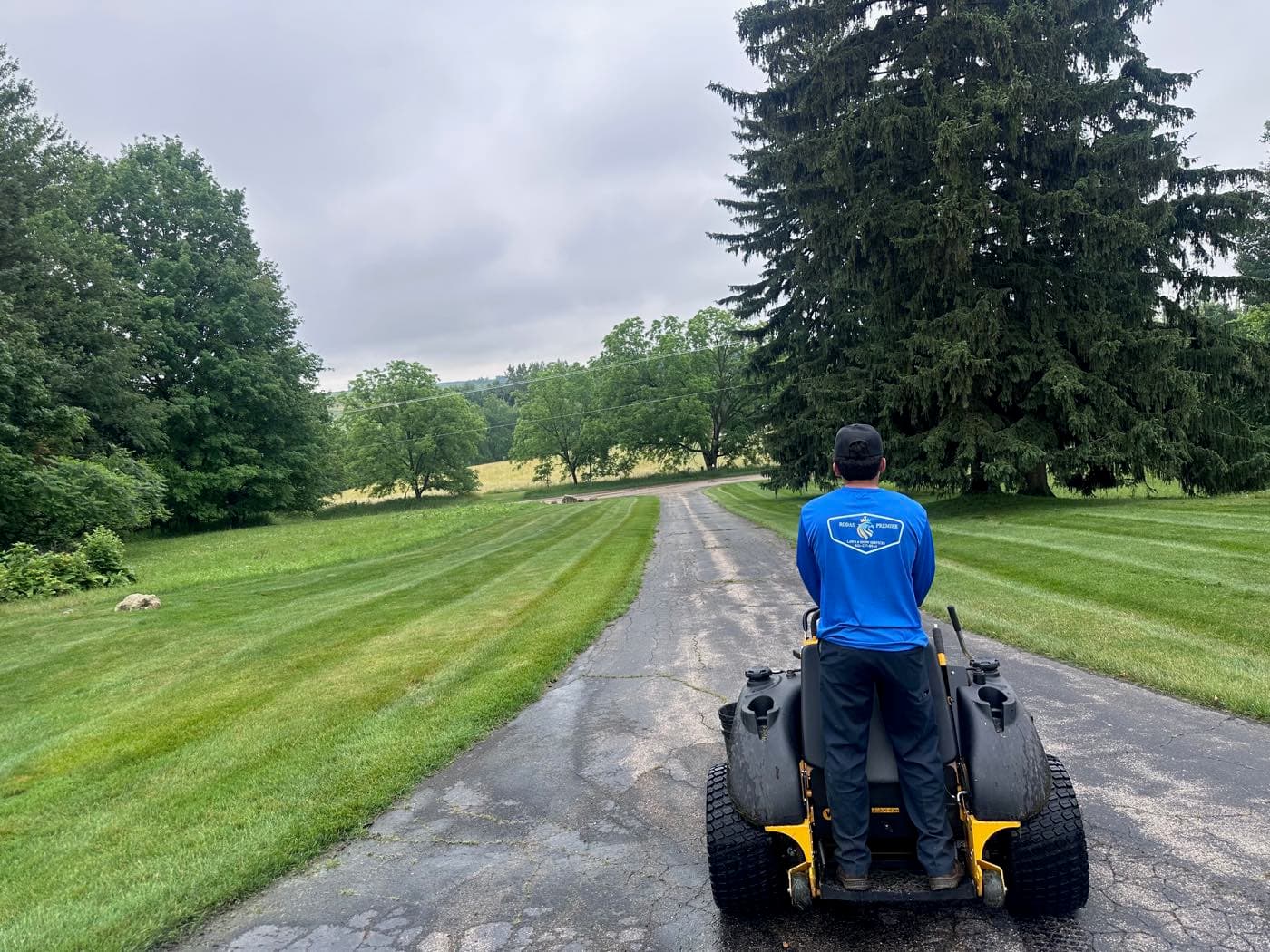 Rodas Premier Landscaping project photo 11