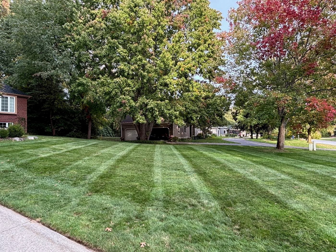 Rodas Premier Landscaping project photo 12